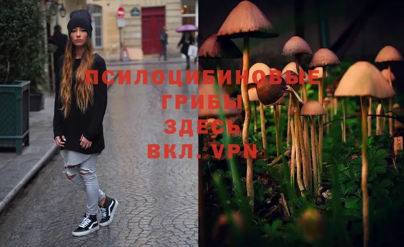 Галлюциногенные грибы Magic Shrooms  купить наркоту  Петровск 